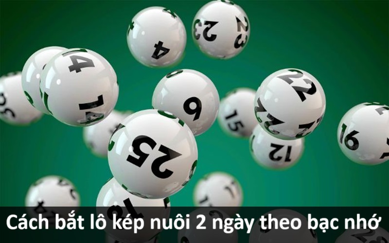 Bắt lô kép nuôi 2 ngày theo bạc nhớ